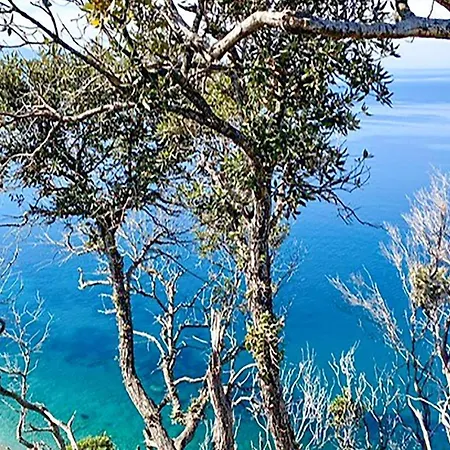 Cozy In Nisportino With Wifi Lejlighed Nisporto