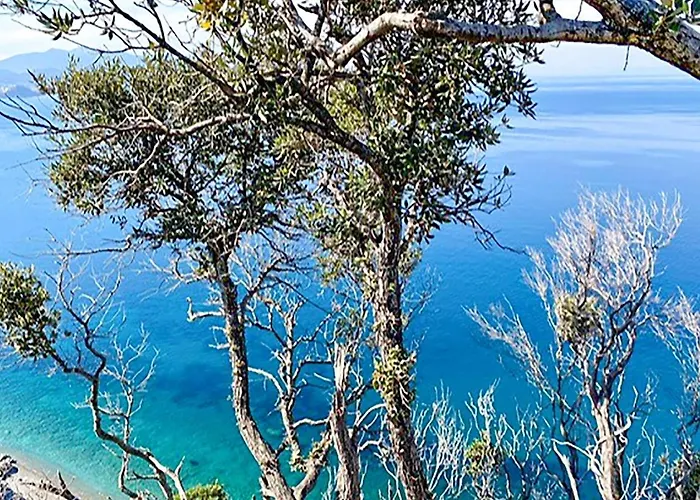 Cozy In Nisportino With Wifi Appartement Nisporto