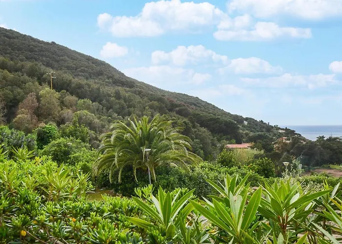 Cozy In Nisportino With Wifi Appartement *